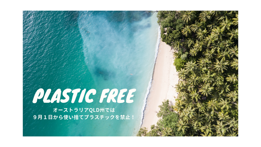 使い捨てプラスチック製品を禁止！