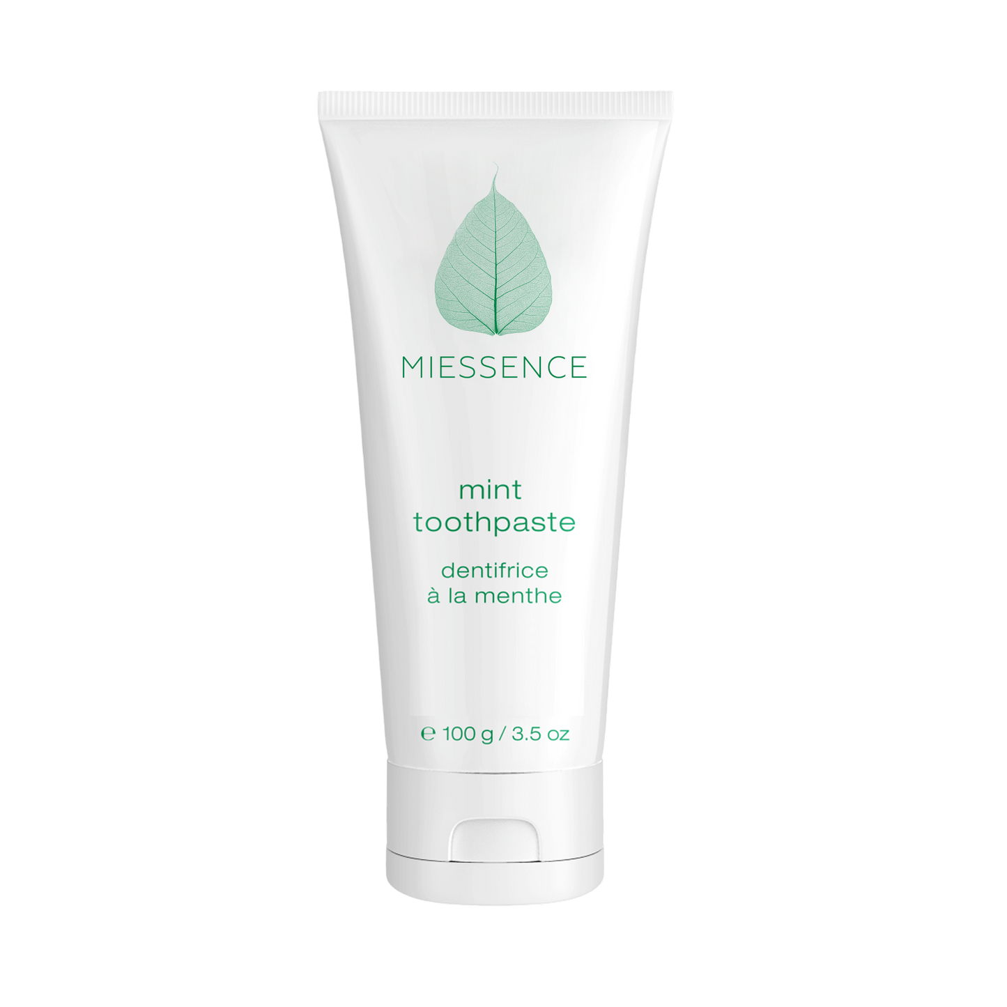 ハミガキ粉（ミント）100g　