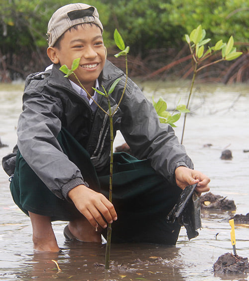 mangrove-planting-forest_1.jpg